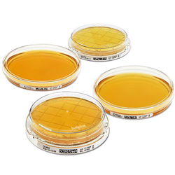 Contact agar sabouraud dextrose   Chloramphenicol, for detection of yeast and molds /PK 20