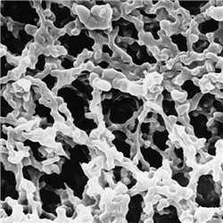 Membrane Filter, MCE, Hydrophilic, 0.025µm, 13mm, Wht, Plain/ PK 100 (UN 3270 Class 4.1 Pkg Grp II)